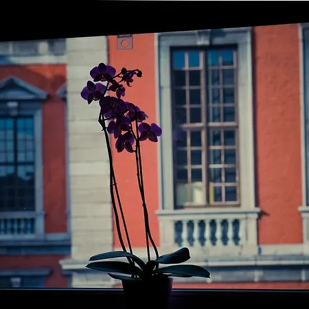 Appart-hotel Leopold Centre Apartment