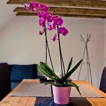 Apartment Appart-hotel Leopold Centre Liege
