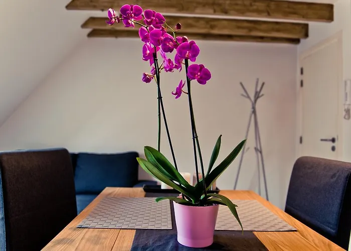 Appartement Appart-hotel Leopold Centre Luik